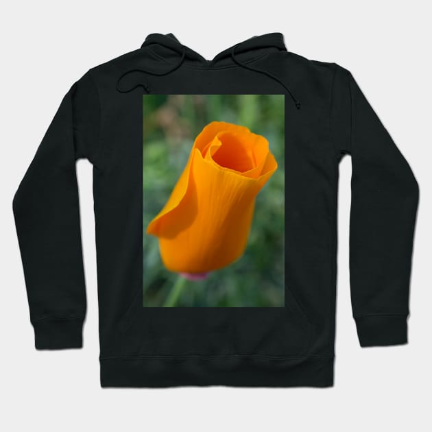 California Poppy Hoodie by mariola5